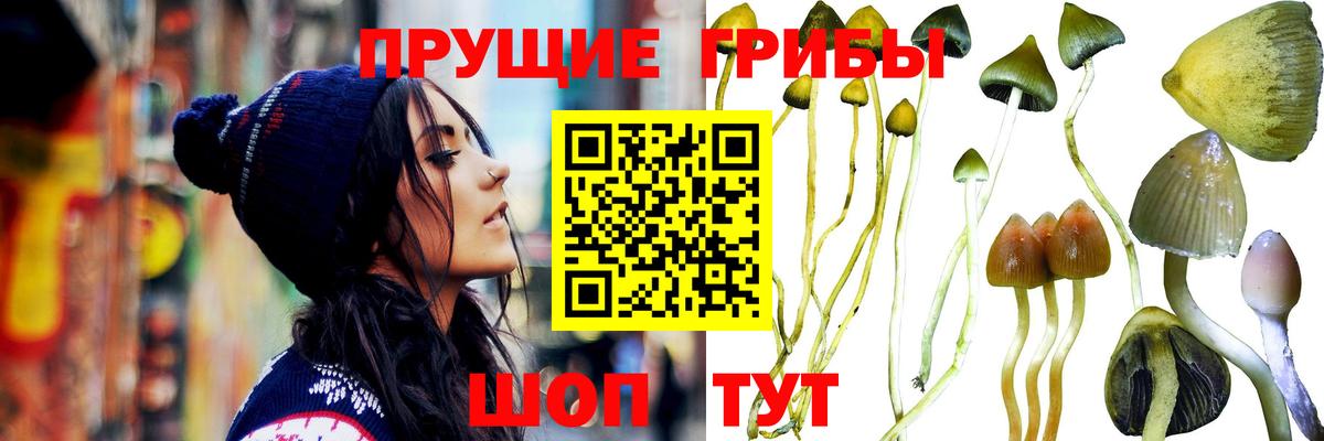Октябрьский  Псилоцибиновые грибы мухоморы  где можно купить наркотик  Вход с VPN 